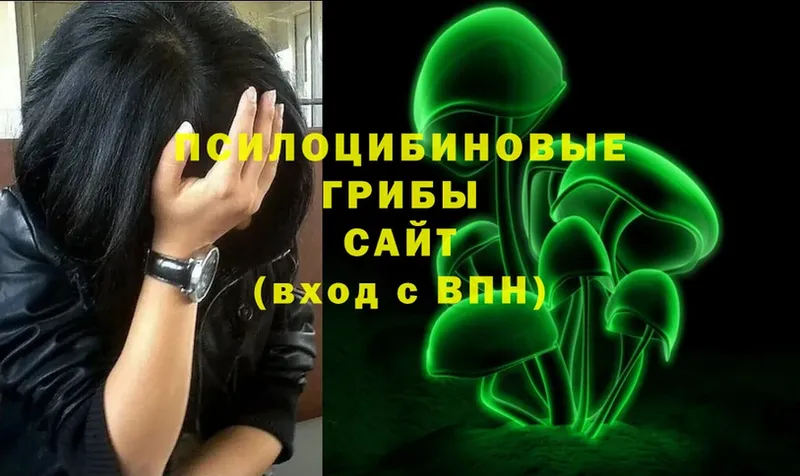 hydra tor  Гурьевск  Галлюциногенные грибы MAGIC MUSHROOMS  где можно купить  